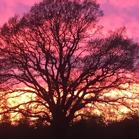 Apartmán Eskaerhus Pa Tasinge, Taet Pa Svendborg - Afdeling Med Egen Indgang
